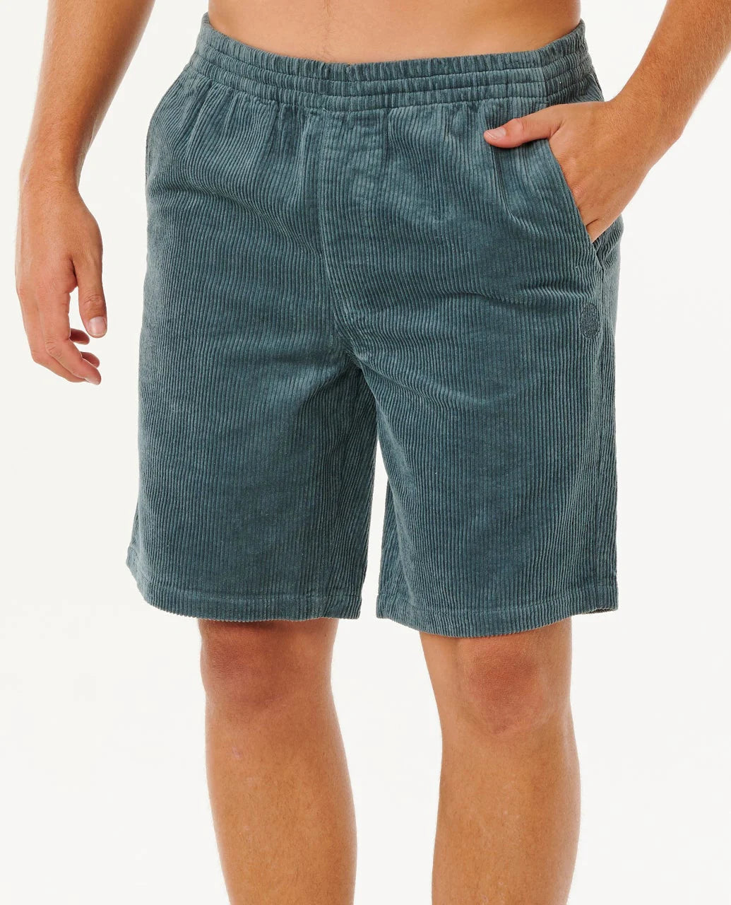 Ripcurl Men’s Premium Surf Cord Volley Shorts, product view 1